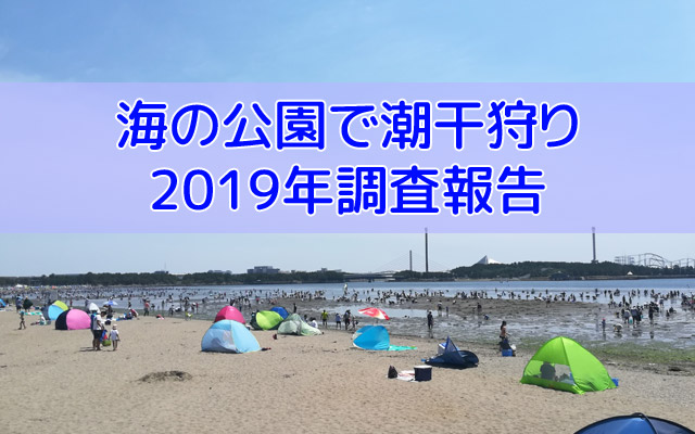 必見 横浜の海の公園で潮干狩り19年は当たり年で早速調査 快適lifeブログ