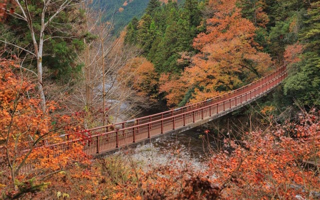 秋川渓谷の紅葉