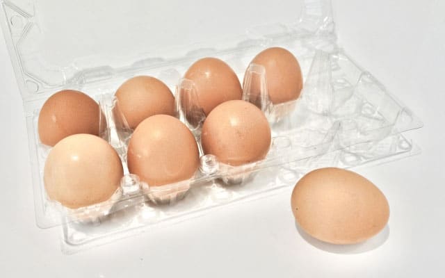 卵の保存