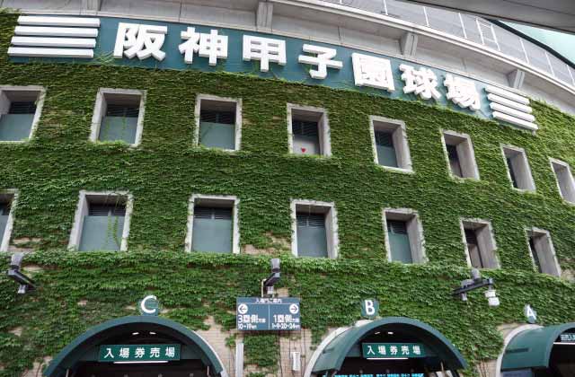 ユニフォーム着ないで野球観戦